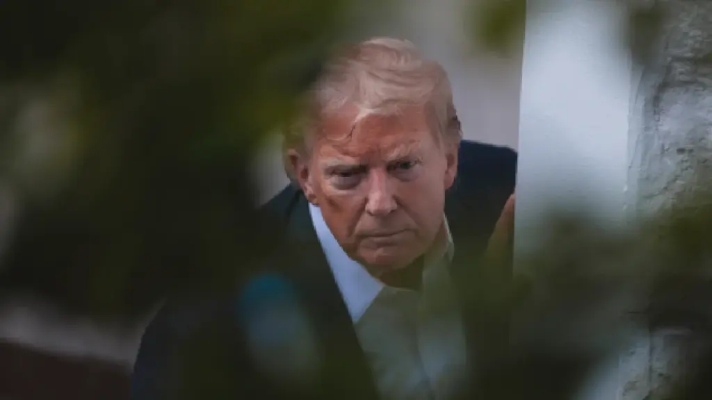 Raggiunto un accordo nella causa di Trump contro la nipote